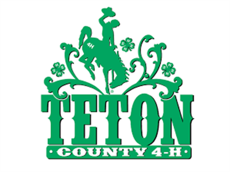 Logo for 2026 Teton County Fair